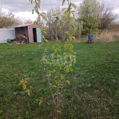 8 соток, участок - изображение 2