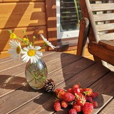 дом + 25 соток, участок - изображение 4