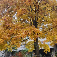 Квартира 40 м², 1-комнатная - изображение 2