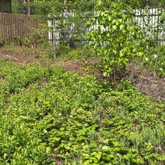 6 соток, участок - изображение 5