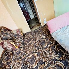 Квартира 18,3 м², 1-комнатная - изображение 4