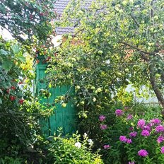 часть дома + 5 соток, участок - изображение 3