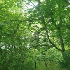 Квартира 36,7 м², 2-комнатная - изображение 5