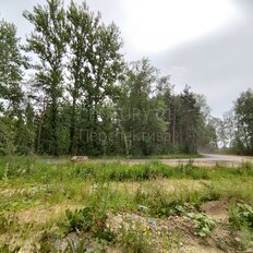 10 соток, участок - изображение 2