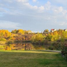 8,1 сотки, участок - изображение 1