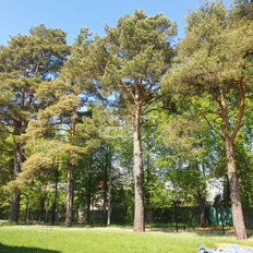 8,2 сотки, участок - изображение 1