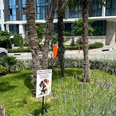 Квартира 18,5 м², студия - изображение 4