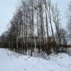 11,7 сотки, участок - изображение 2