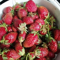 4 сотки, участок - изображение 1