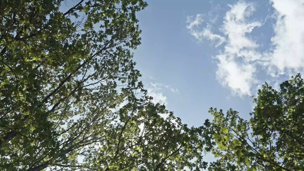 364 м², офис 140 350 896 ₽ - изображение 54