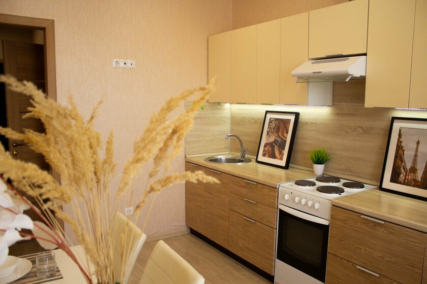 45 м², 1-комнатная квартира 2 500 ₽ в сутки - изображение 76