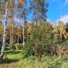 24 сотки, участок - изображение 3