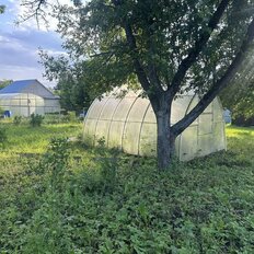 6 соток, участок - изображение 4