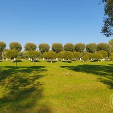 Квартира 33 м², 1-комнатная - изображение 2