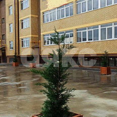 Квартира 48,3 м², 1-комнатная - изображение 4