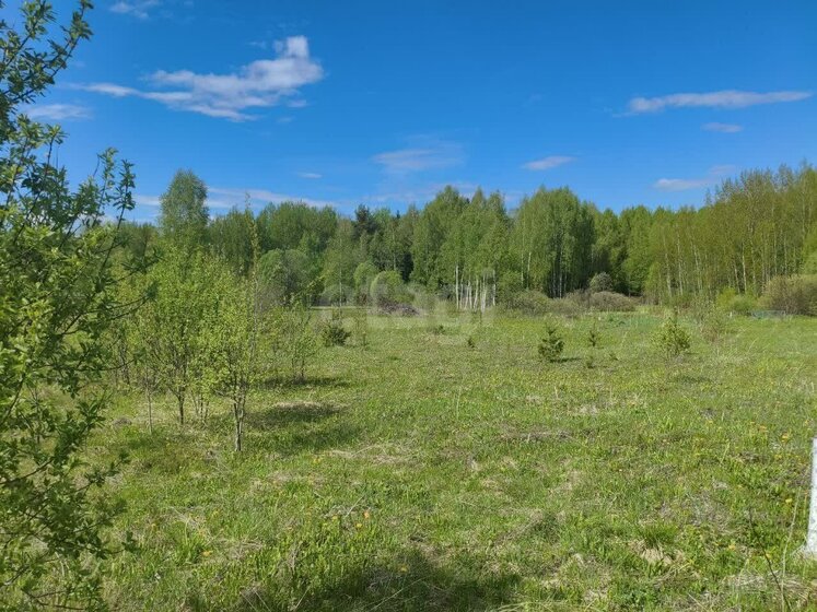 390 соток, участок 1 500 000 ₽ - изображение 25