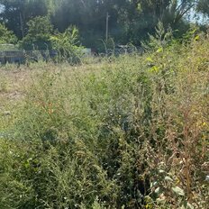 10,2 сотки, участок - изображение 4