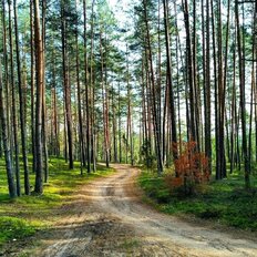 дом + 31,2 сотки, участок - изображение 1