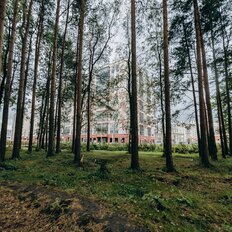 Квартира 71 м², 3-комнатная - изображение 1