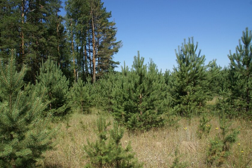 25,1 м², квартира-студия 5 153 700 ₽ - изображение 18