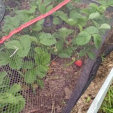 дом + 5 соток, участок - изображение 1