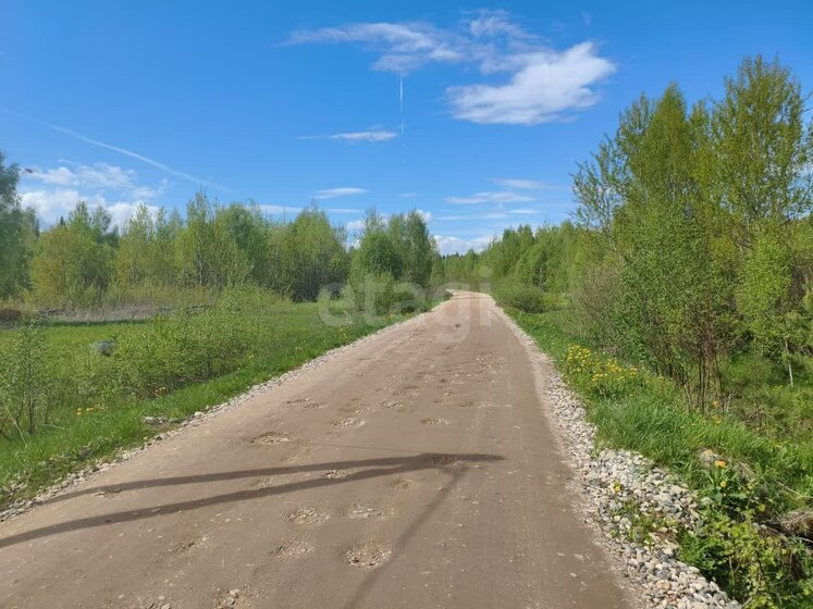 390 соток, участок 1 500 000 ₽ - изображение 28