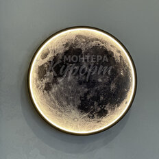 Квартира 31,4 м², студия - изображение 4