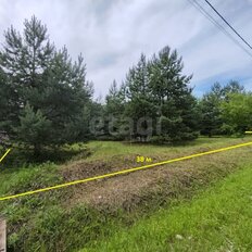 15 соток, участок - изображение 2