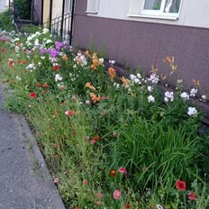 Квартира 44,4 м², 2-комнатная - изображение 1