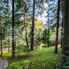 62 сотки, участок - изображение 1