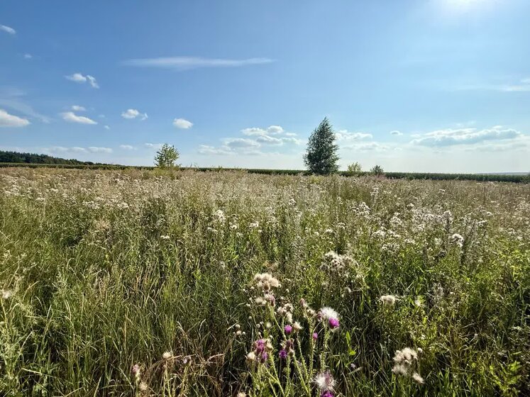 15 соток, участок 1 380 000 ₽ - изображение 36
