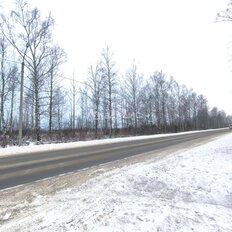 12 соток, участок - изображение 4