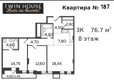 Квартира 76,7 м², 3-комнатная - изображение 1