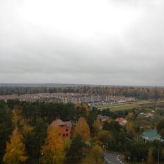 Квартира 55 м², 2-комнатная - изображение 5