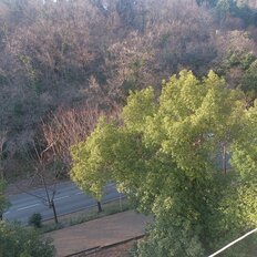 Квартира 45 м², 1-комнатная - изображение 2