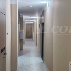 Квартира 32 м², студия - изображение 1