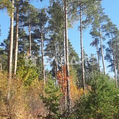 7,7 сотки, участок - изображение 5