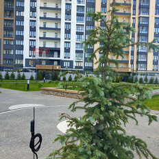 Квартира 42 м², 1-комнатная - изображение 3