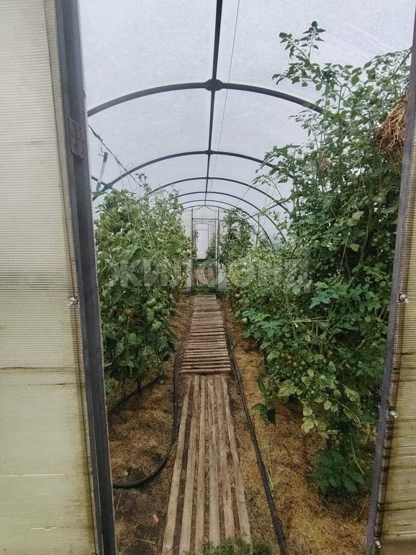 Дом 20 м² в Томск — фото 10 из 15