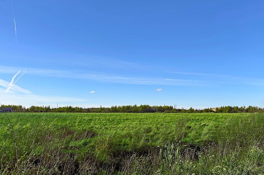 48 соток, участок 47 000 000 ₽ - изображение 52