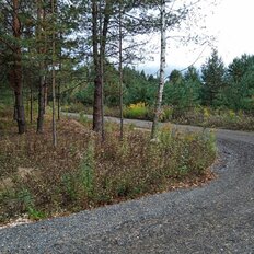 8 соток, участок - изображение 4