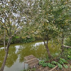 300 м², готовый бизнес - изображение 3