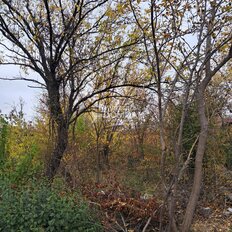 6,2 сотки, участок - изображение 4