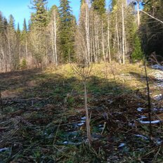 50 соток, участок - изображение 3