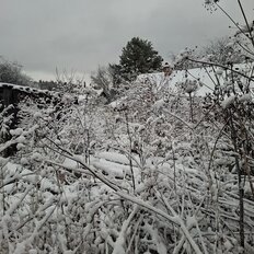 9 соток, участок - изображение 4