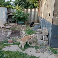 6,7 сотки, участок - изображение 1