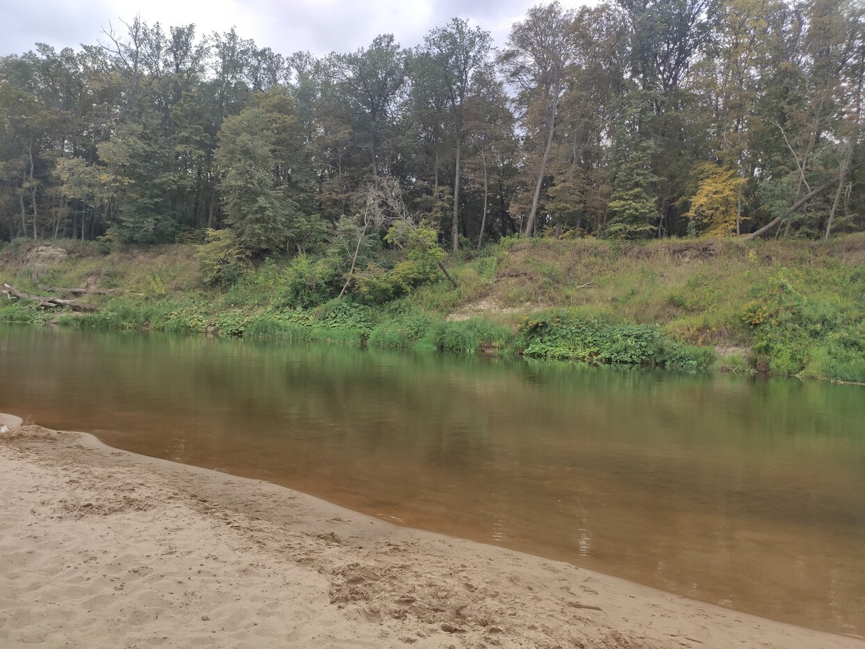 Дом 26 м² в село Пады — фото 13 из 16