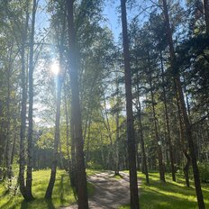 Квартира 40 м², 1-комнатная - изображение 1