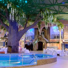 дом + 1,5 га, участок - изображение 2