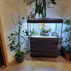 Квартира 43,4 м², 2-комнатная - изображение 3
